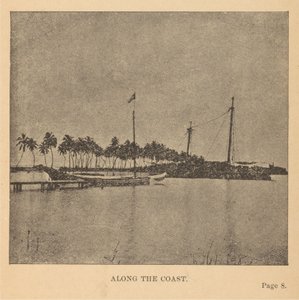 海岸沿いに 作： Alice D. Le Plongeon